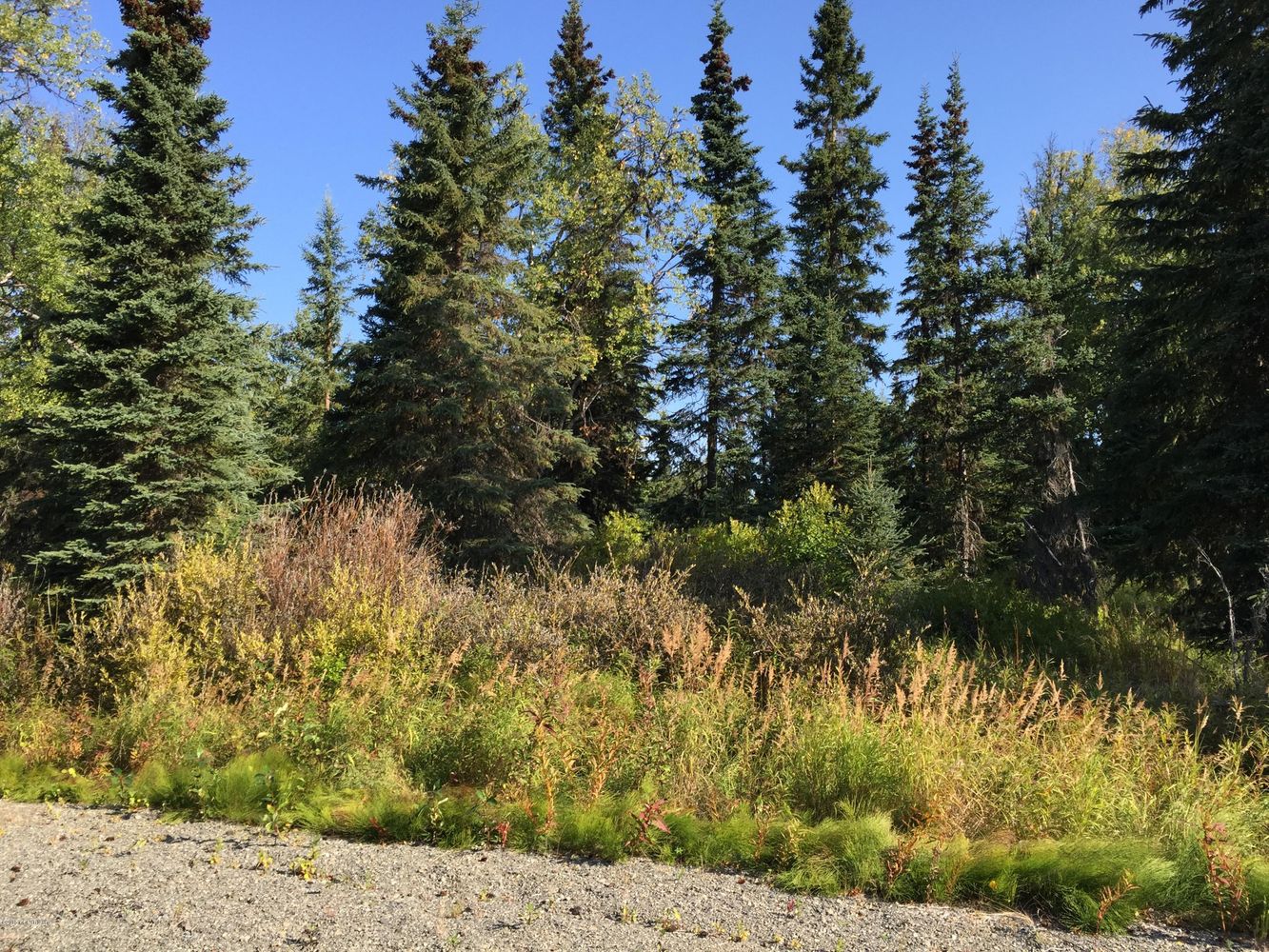 63787 Oil Well Rd, Ninilchik, AK 99639